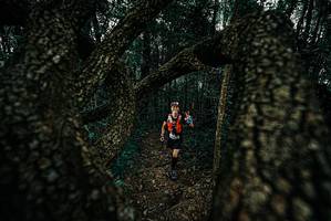 BIB: 
                            <button type="button" onclick="openModal(25691255)" class="btn btn-primary btn-sm float-right btn-popup" data-toggle="modal" data-target=".modal-high-quality">
                        <i class="fas fa-shopping-cart"></i> Add to Cart
                    </button>
                                            <button type="button" onclick="isThisMe(25691255, true)" class="btn btn-success btn-sm float-right btn-popup btn-isme hidden" data-toggle="tooltip" data-placement="bottom" title="นี่คือรูปของคุณใช่ไหม คลิกที่นี่เพื่อเอาเข้าอัลบั้ม">
                        <i class="fas fa-plus"></i> Add to album
                    </button>
                    <button type="button" onclick="isThisMe(25691255, false)" class="btn btn-warning btn-sm float-right btn-popup btn-isnotme hidden">
                        <i class="fas fa-ban"></i> Remove from album
                    </button>